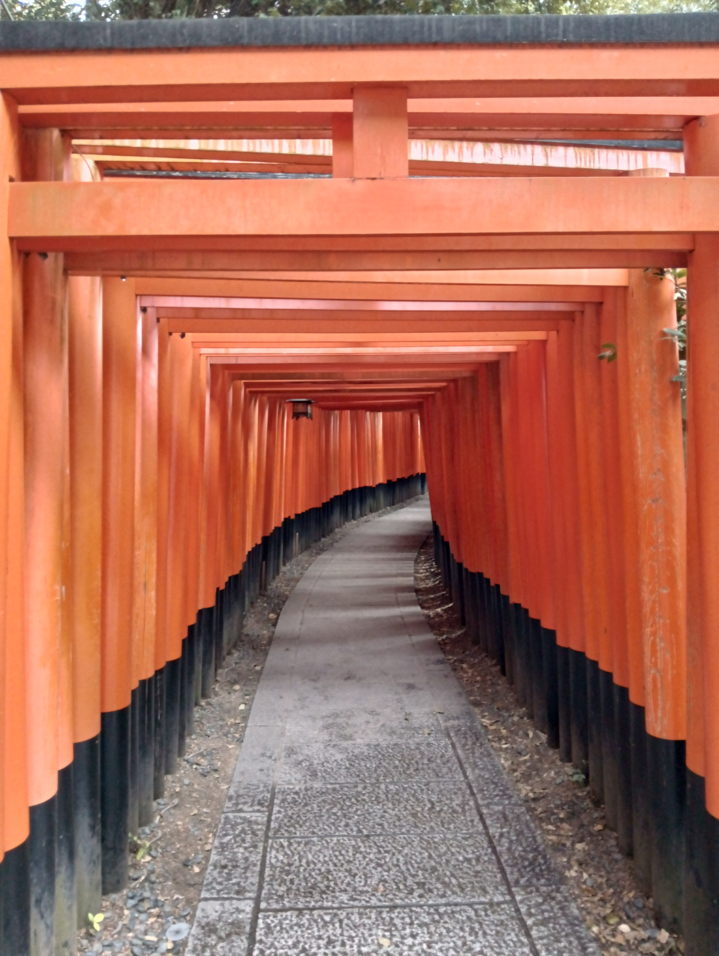 伏見稲荷大社　清水寺